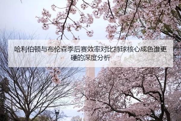 哈利伯顿与布伦森季后赛效率对比持球核心成色谁更硬的深度分析