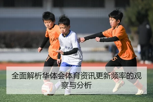 全面解析华体会体育资讯更新频率的观察与分析