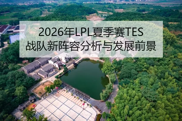 2026年LPL夏季赛TES战队新阵容分析与发展前景