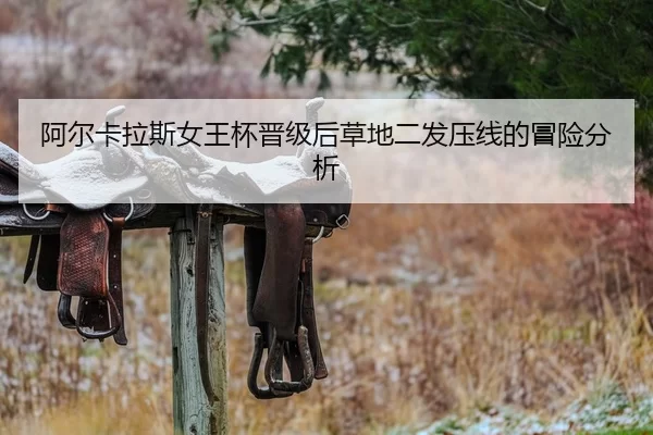 a-er-ka-la-si-nv-wang-bei-jin-ji-hou-cao-di-er-fa-ya-xian-de-mao-xian-fen-xi-2-606.jpg