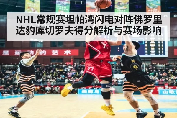 NHL常规赛坦帕湾闪电对阵佛罗里达豹库切罗夫得分解析与赛场影响